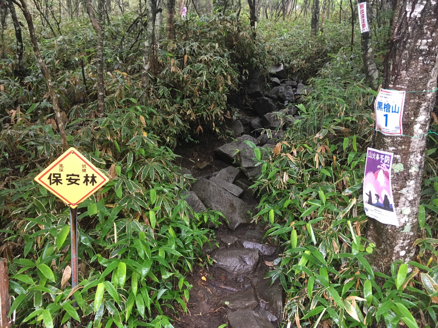 【群馬 黒檜山】日本百名山の黒檜山を登頂！！雨の登山で気をつけること