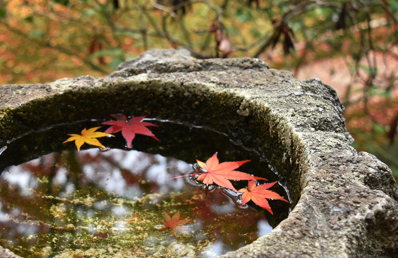 autumn-japan